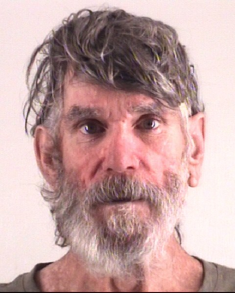 Booking photo of DANA GREEN