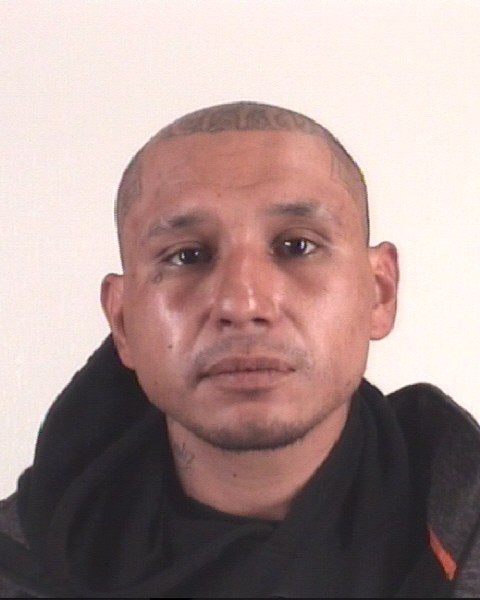 Booking photo of DAVID GONZALES