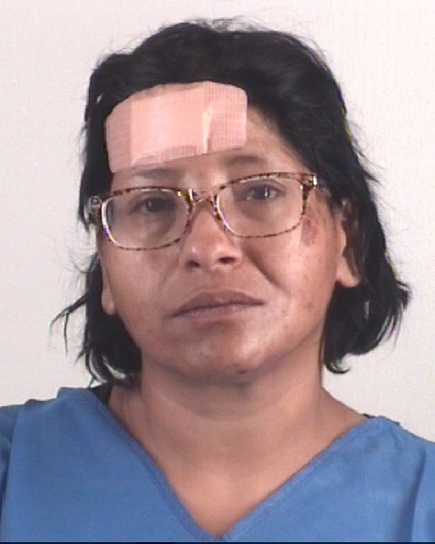 Booking photo of HERMINIA GONZALEZ