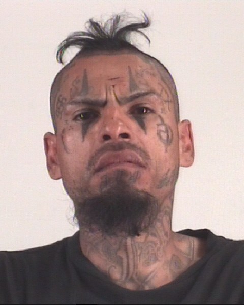 Booking photo of JOSE GUZMAN