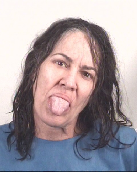 Booking photo of MICHELLE GOODBRAND