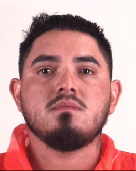 Booking photo of NELSON GARCIA