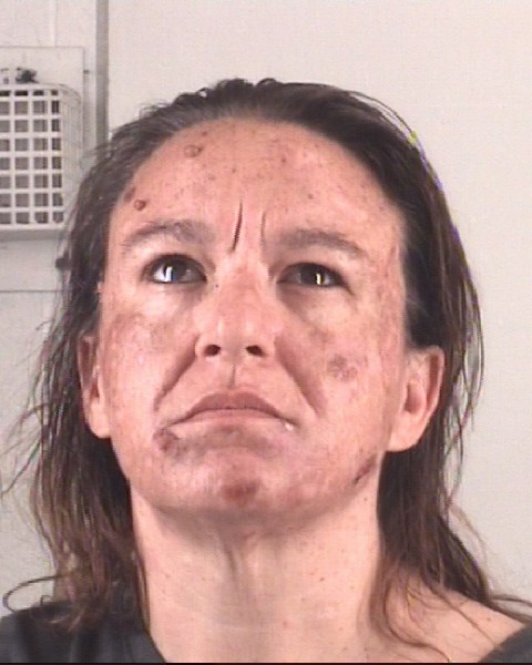 Booking photo of BRITTNEY HANSON