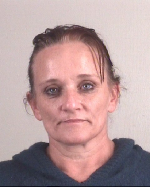 Booking photo of DELANA HUNTER
