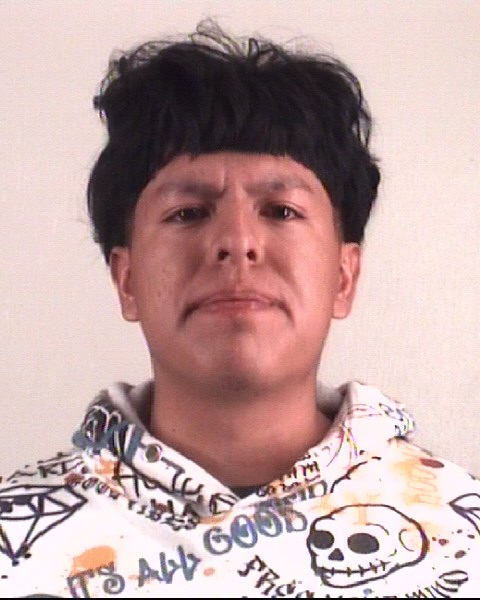 Booking photo of JHOAN HERNANDEZLORA