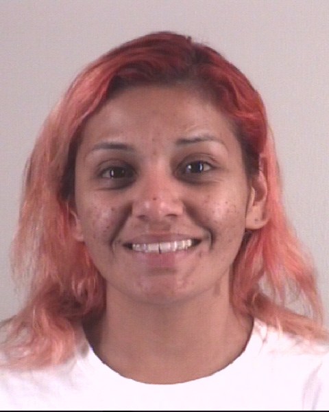 Booking photo of SOPHIA HERNANDEZ