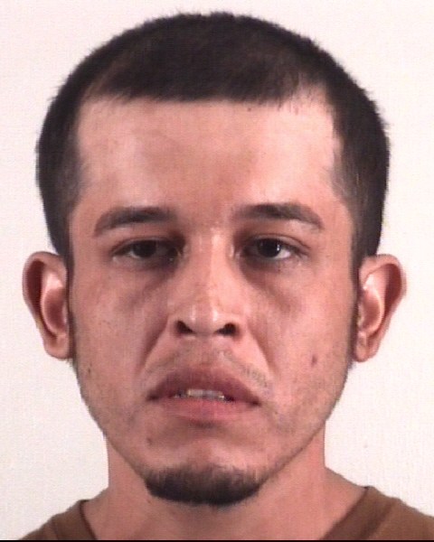 Booking photo of NOEL IBARRA