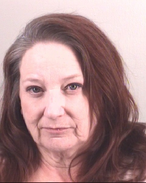 Booking photo of DAWN JOHNSON