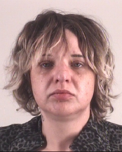 Booking photo of HOLLY LAPIN