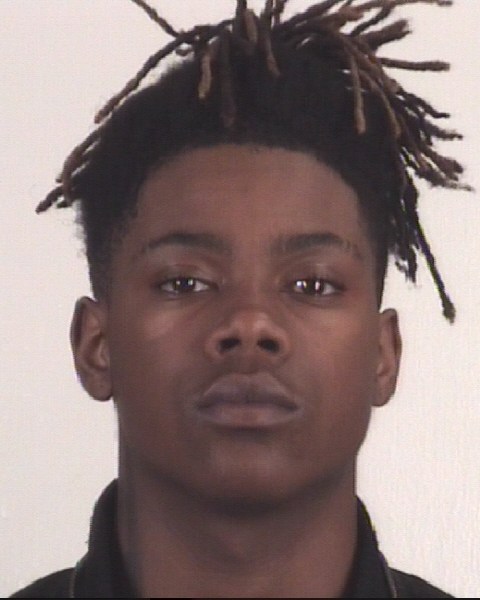 Booking photo of TERRY LINK