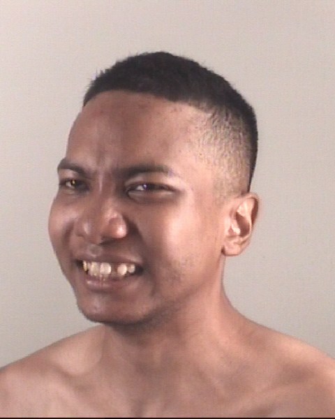 Booking photo of YILIKA LOUFOUA