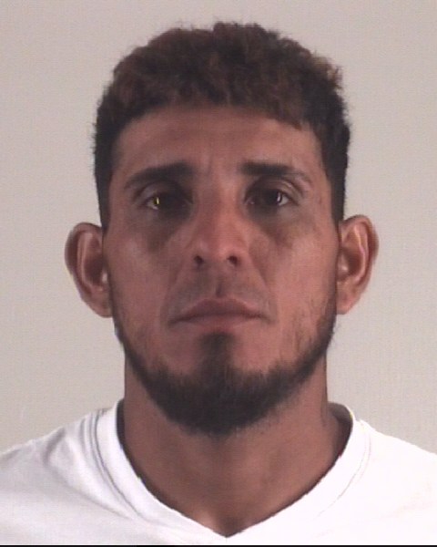 Booking photo of GERSON MEJIANAVARIJO