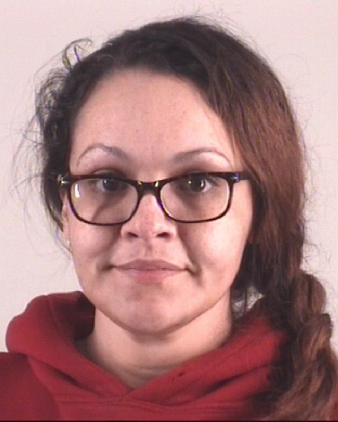 Booking photo of LISA MITCHELL