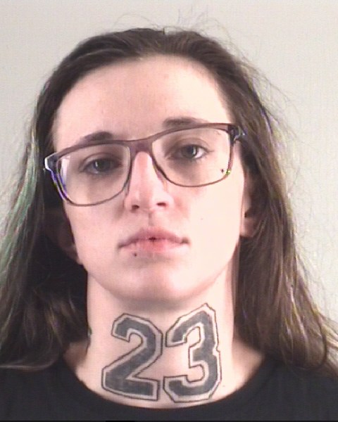 Booking photo of MICHELLE MORTENSON