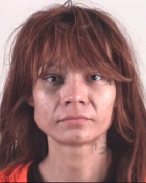 Booking photo of RACHEL MEDICINEELK