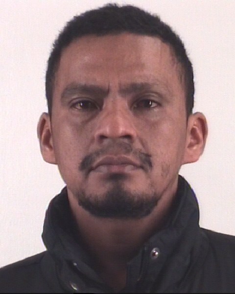 Booking photo of RONY MORALEZNETHAN