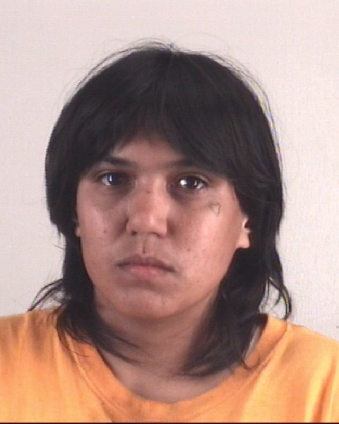 Booking photo of ULANI NUNES