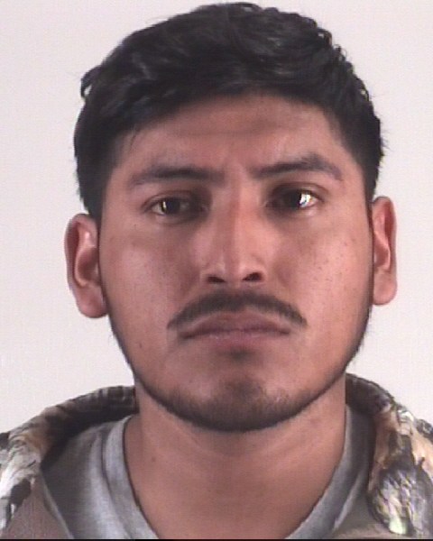 Booking photo of JOSE OLALDEGAMEZ