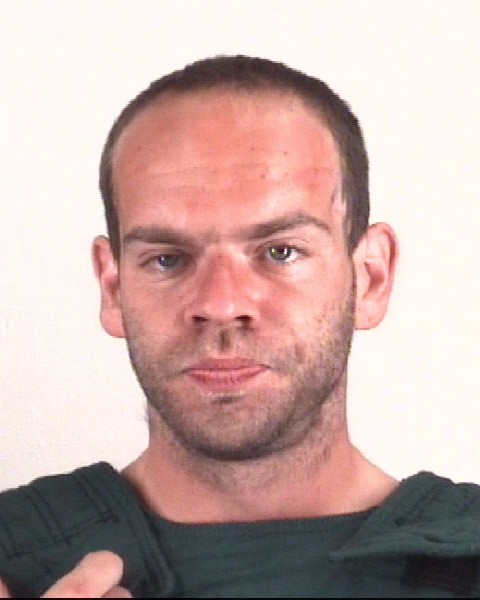 Booking photo of ARLYNN PURVIS