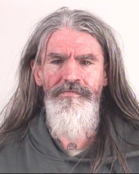 Booking photo of DARYNN POTTS
