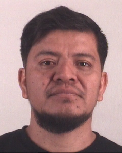 Booking photo of JOSE PEREZHERNANDEZ