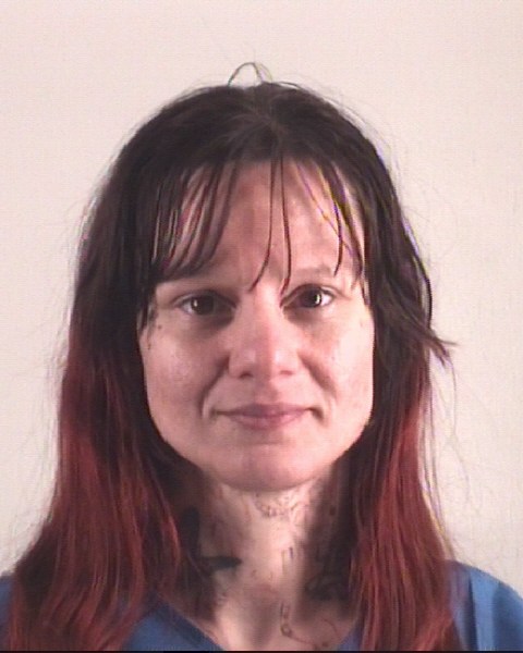 Booking photo of KRISTA PERKINS