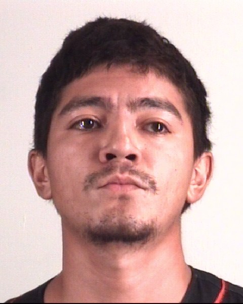 Booking photo of LEONEL POZOSDOMINGUES
