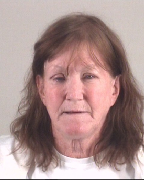 Booking photo of ROBYN PHALEN