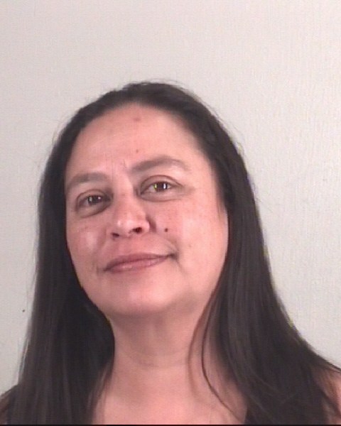 Booking photo of SONDRA PINO