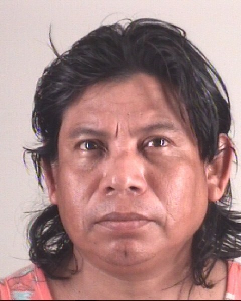 Booking photo of ALCIDER RAMIREZFAJARDO