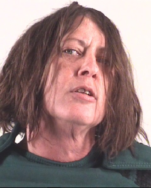 Booking photo of ALISSA REEVES