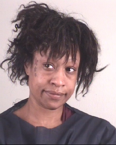 Booking photo of FRANCES ROBERTS