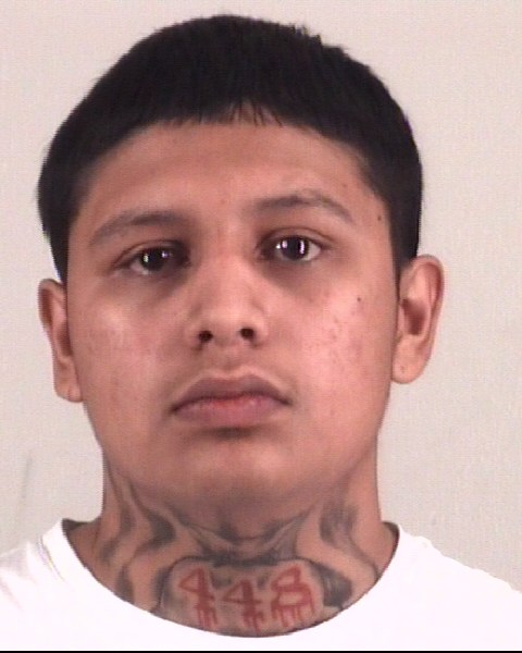 Booking photo of JESUS ROMAN