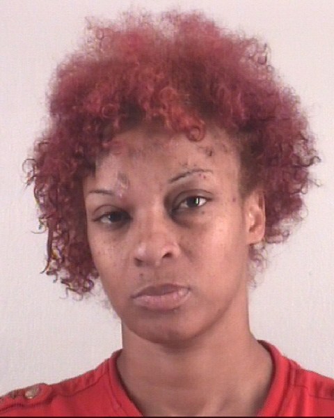 Booking photo of SANDY REINHART