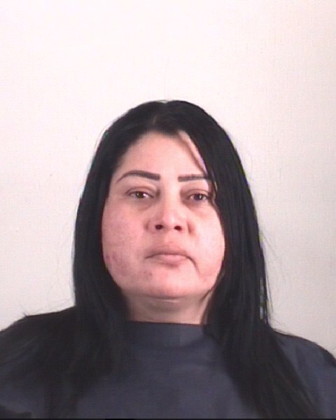 Booking photo of YENNY SANCHEZ