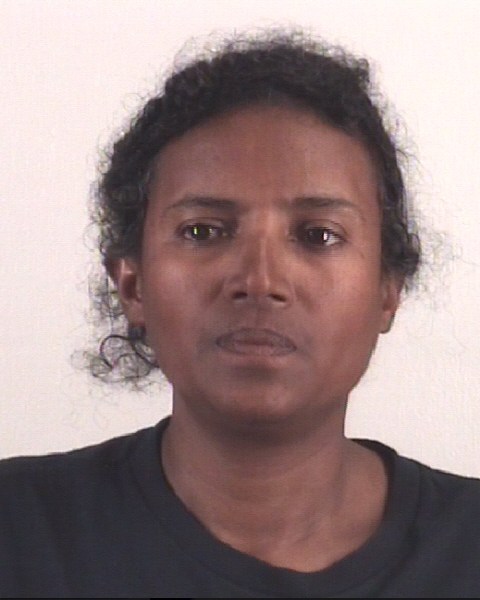 Booking photo of MENNA TEKLYE
