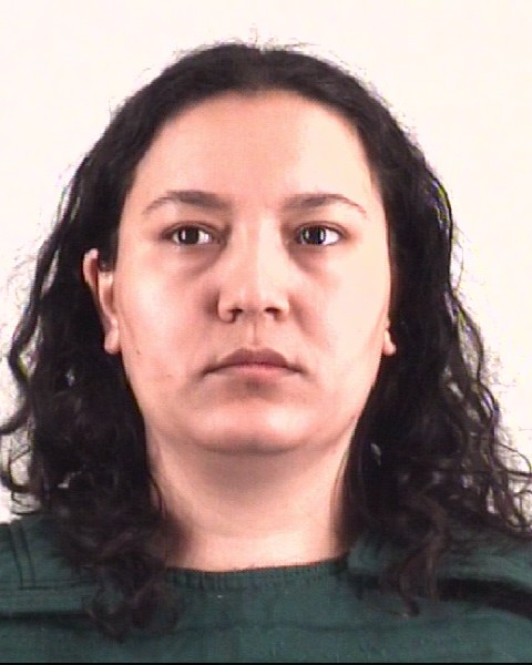 Booking photo of PARISA TAHERY