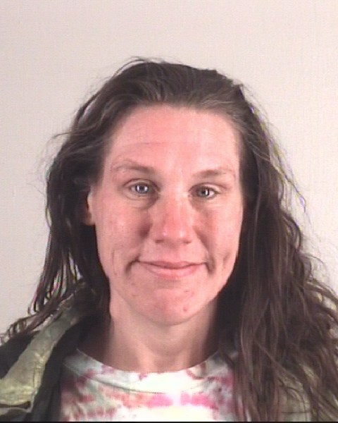 Booking photo of ROBYN TIMMONS