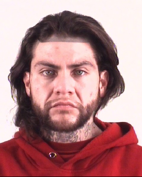 Booking photo of ART VEGA