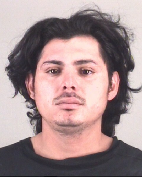 Booking photo of JORGE VARGASPENSAMIENTO