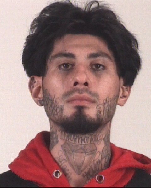 Booking photo of JOSE VELASQUEZ