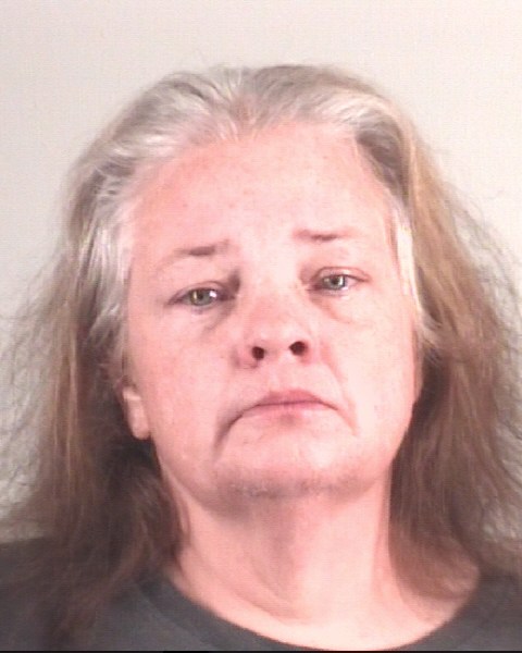 Booking photo of MICHELE VANWYE