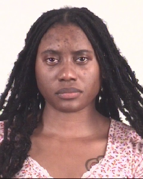 Booking photo of BRITTNI WHITE