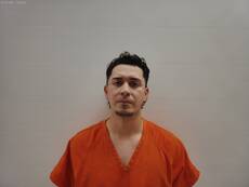Booking photo of HERRERA ANGEL