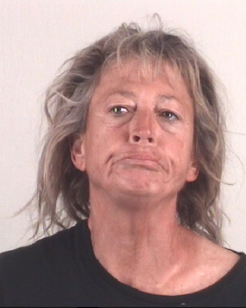 Booking photo of KRISTY L BRIDGES
