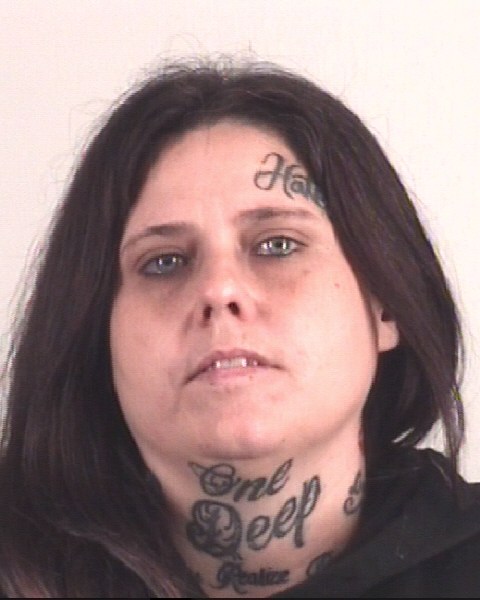 Booking photo of AMANDA LYON