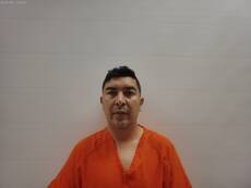 Booking photo of GONZALEZ LUIS ERNESTO