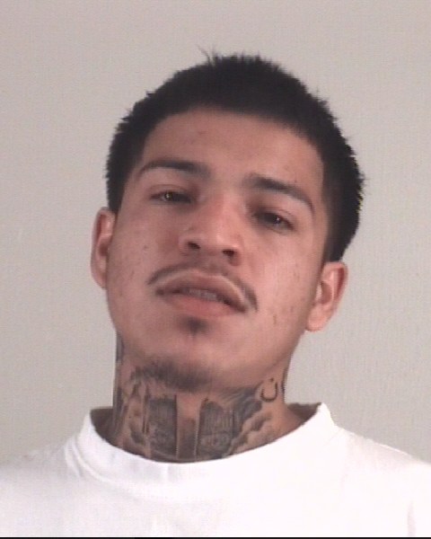 Booking photo of FRANCISCO AVILA