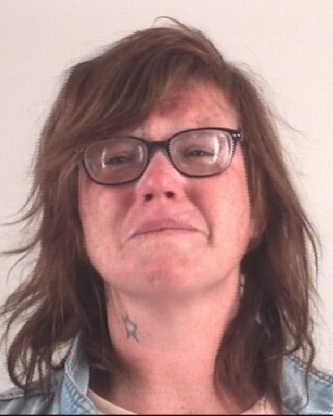 Booking photo of AMANDA LYNN
