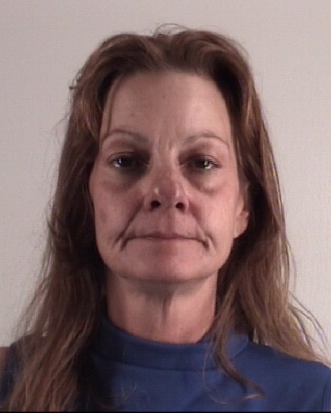 Booking photo of CHRISTINA ANN PALM